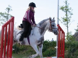 IMG_0612_web